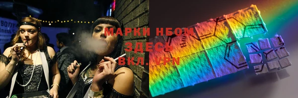 метадон Богданович