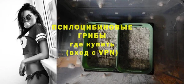 прущие крисы Богородицк