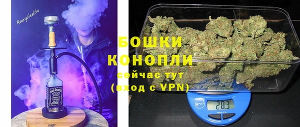 гашик Белокуриха
