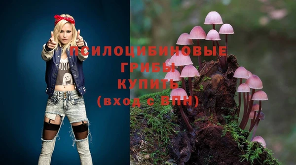 метадон Богданович