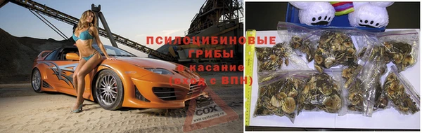 apvp Белоозёрский