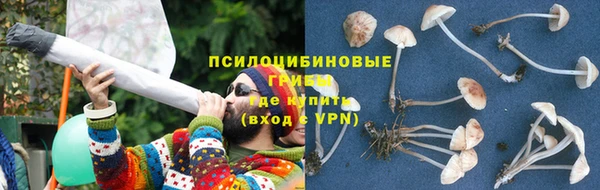 apvp Белоозёрский