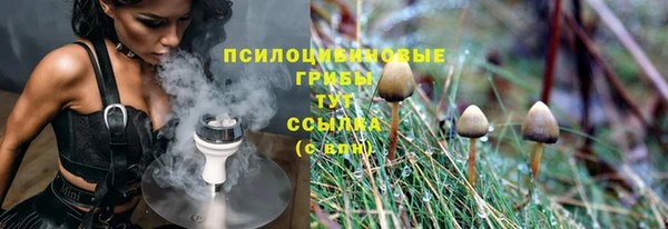 гашик Белокуриха