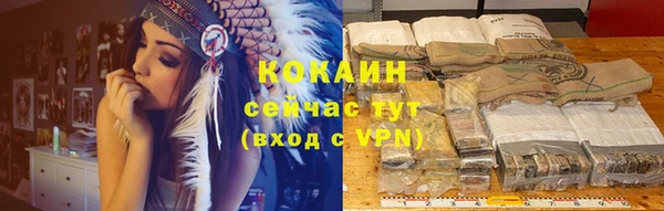 гашик Белокуриха