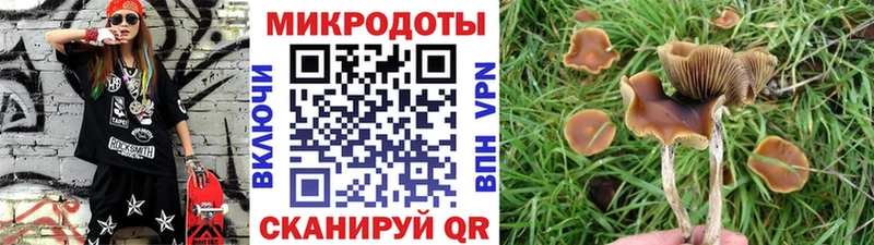 Псилоцибиновые грибы MAGIC MUSHROOMS  купить   Беломорск 